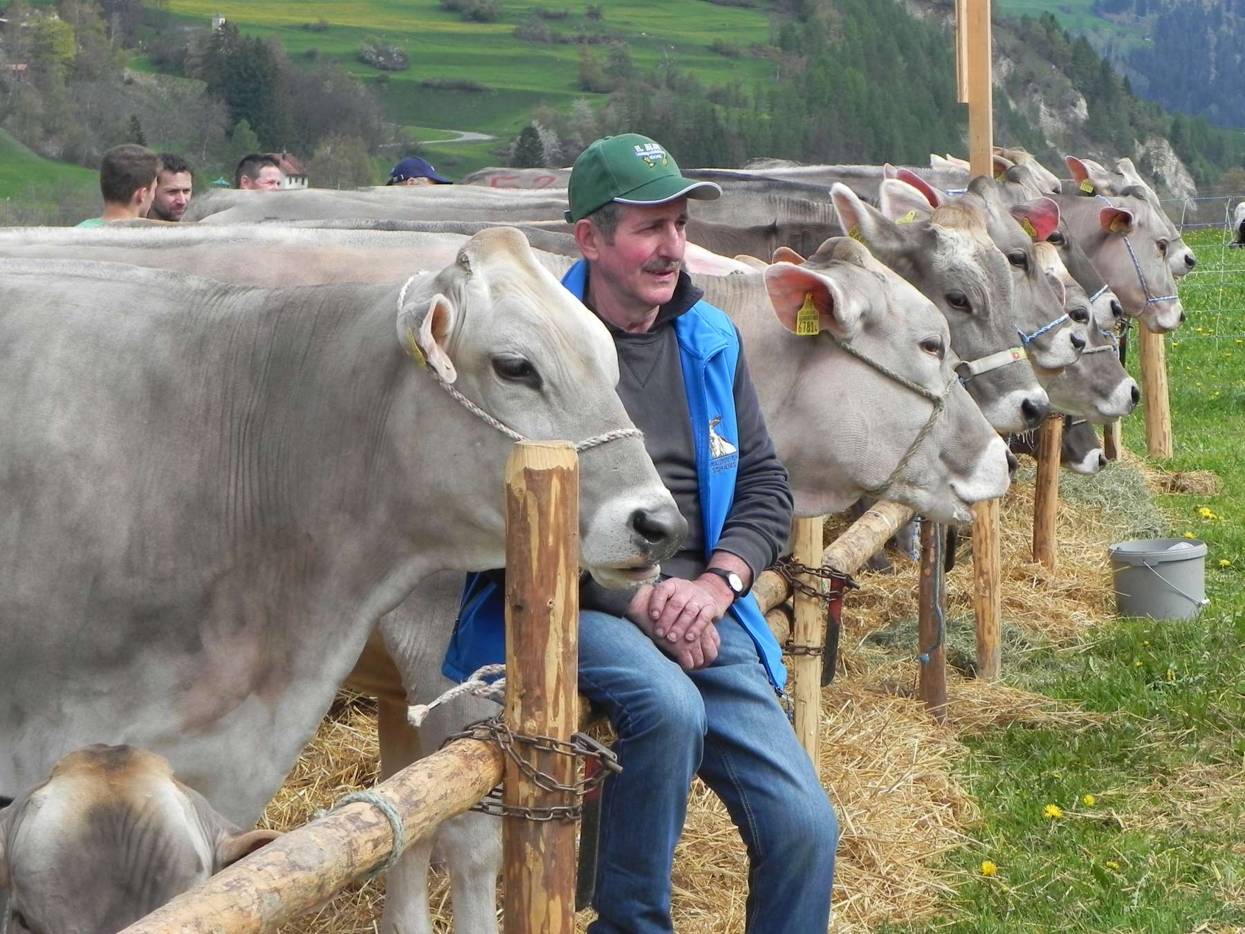 181114 puurachalb pfad