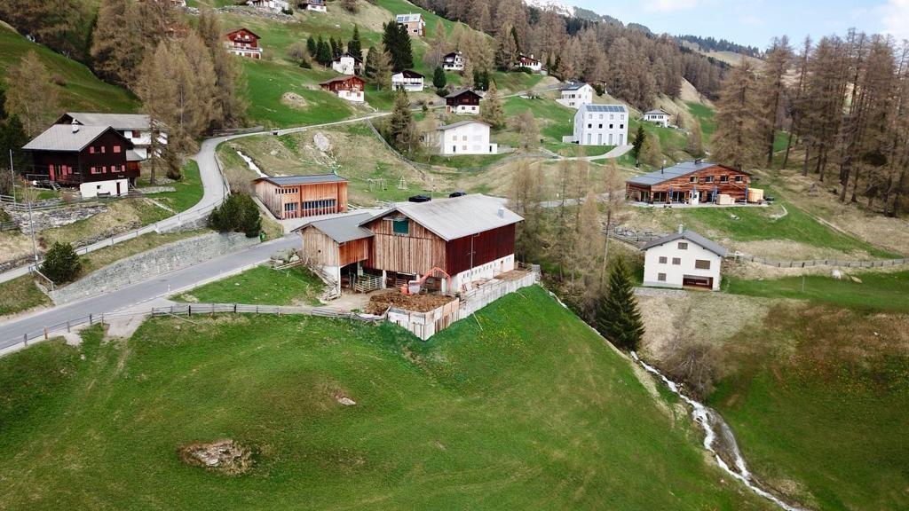 181114 puurachalb pfad