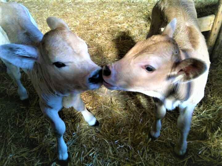 285231 1796502724793 1606491294 31367749 2988460 n 2